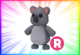 R Koala
