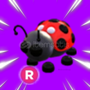 R Ladybug En Uygunu! 