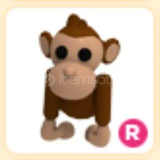 R Monkey En Ucuzu