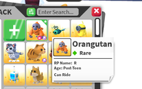  RIDE ORANGUTAN – RARE PET SATILIK