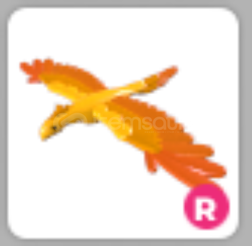 r phoenix r phoenix