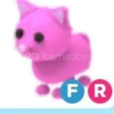 R Pink cat