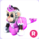 R Princess Capuchin Monkey En Ucuzu