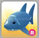 r shark