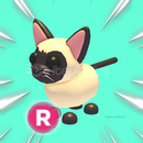 R Siamese Cat En Uygunu! 