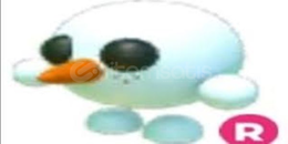 R snowball pet R snowball pet