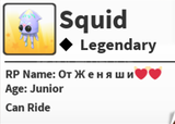 R Squid adopt me 