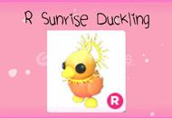 R Sunrise Duckling (İtemsatışta Tek)
