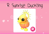 R Sunrise Duckling (İtemsatışta Tek)
