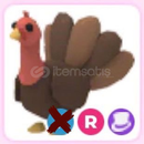 R Turkey