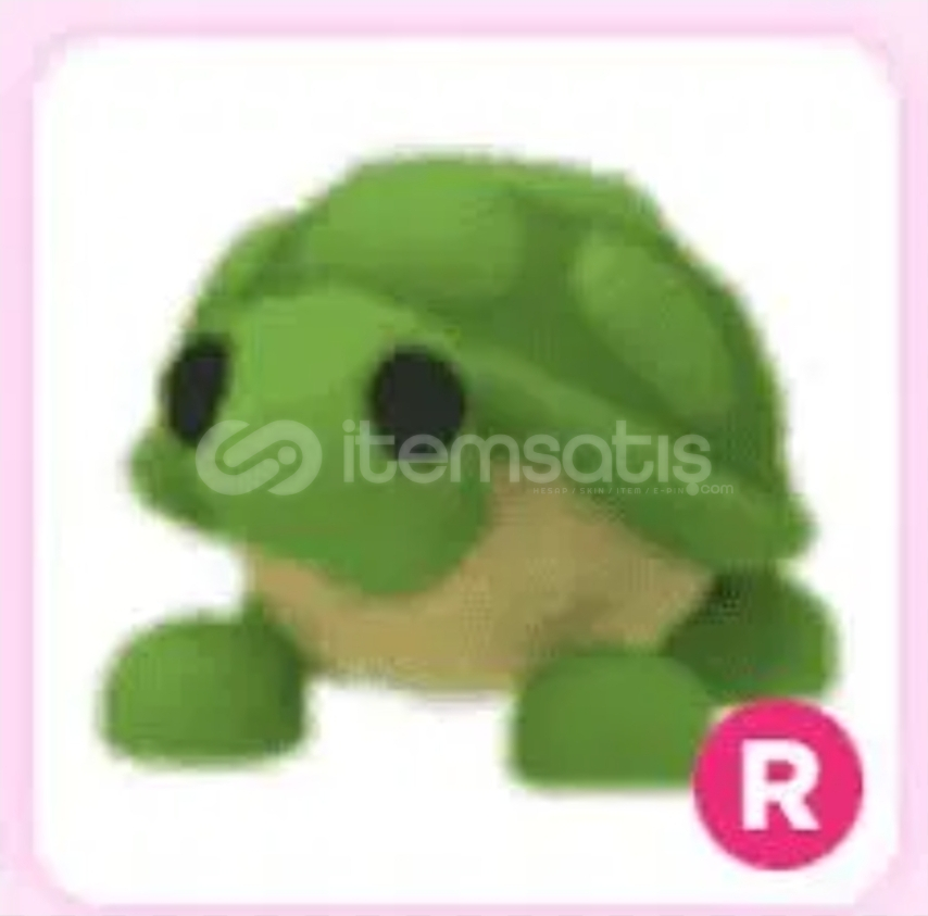 R Turtle R Turtle