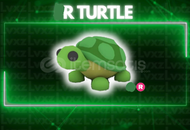 R turtle