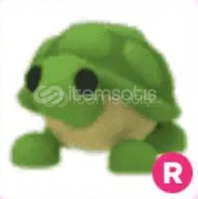 R TURTLE  R TURTLE