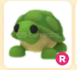 R Turtle