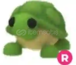 R Turtle Adopt Me