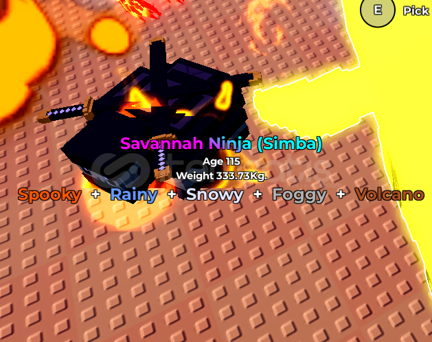 ⭐RA 1x Savannah ninja ⭐(teklif arıyorum) ⭐RA 1x Savannah ninja ⭐(teklif arıyorum)