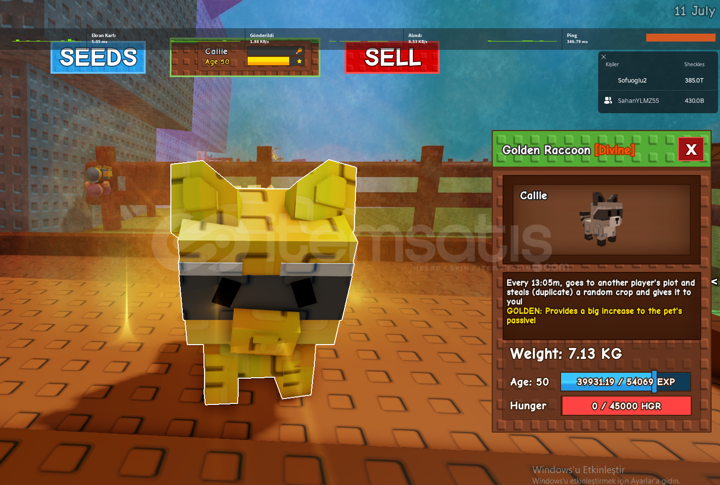 Raccon gold 50 age 7kg  Raccon gold 50 age 7kg