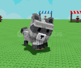 raccoon