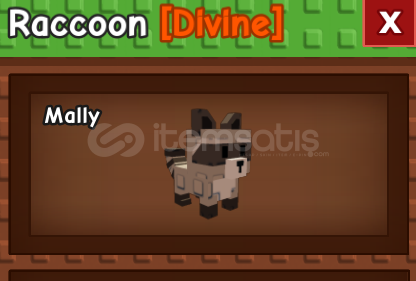 RACCOON en ucuzu  RACCOON en ucuzu