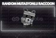 Random Mutasyonlu Raccoon En Uygunu