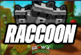 RACCOON | GROW A GARDEN 