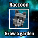 Raccoon ⭐ Grow a garden ⭐ Rakun Raccoon ⭐ Grow a garden ⭐ Rakun