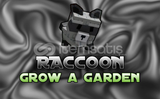 Raccoon Pet