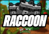 ✨RACCOON (PET) GROW A GARDEN
