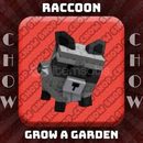 Raccoon Pet + HIZLI TESLİM