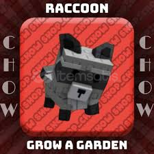 Raccoon Pet + HIZLI TESLİM Raccoon Pet + HIZLI TESLİM