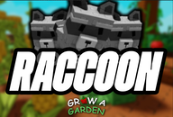 ✨RACCOON PET! ✅HIZLI TESLİMAT! Grow A Garden