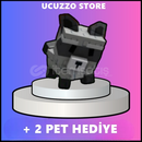 RACCOON PET VE +2 PET HEDİYE / ŞOK FIRSAT