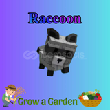 RACCOON PETİ
