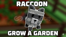 Raccoon(Rakun) En UYGUN Satış[HIZLI TESLIM]