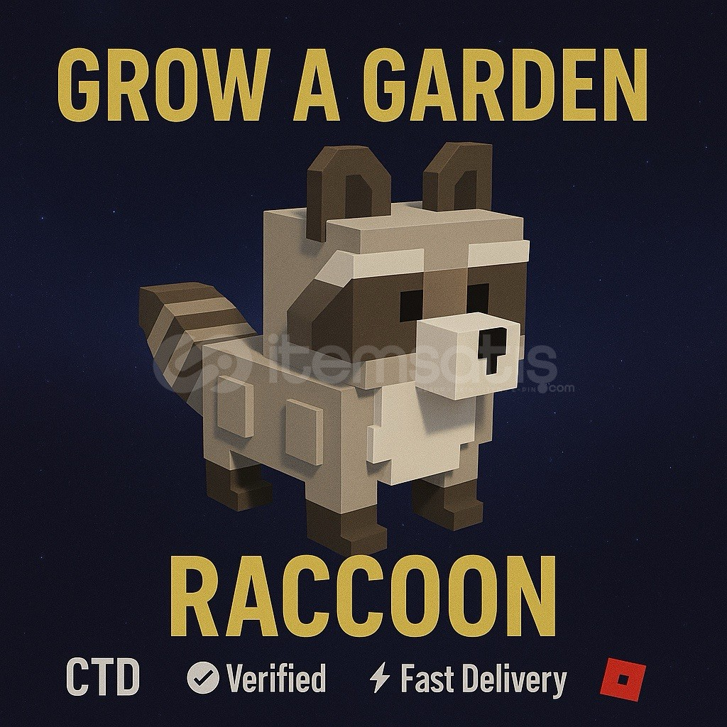 Raccoon (Windy en ucuzu!) Raccoon (Windy en ucuzu!)