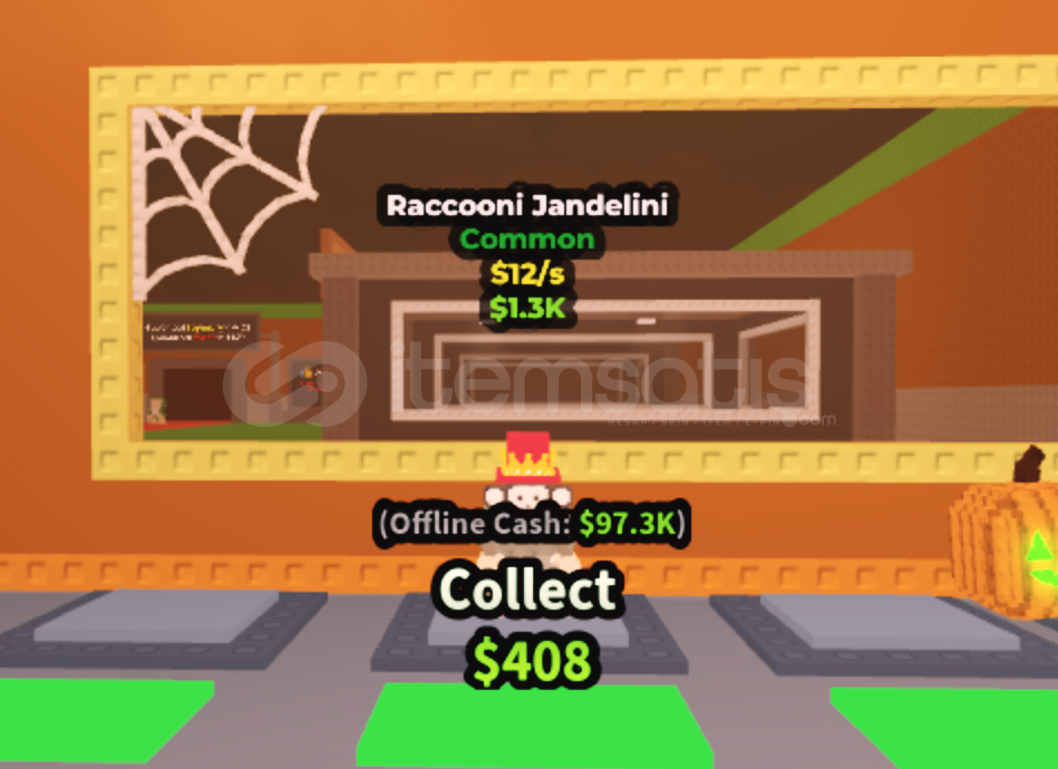 Raccooni Jandelini Raccooni Jandelini