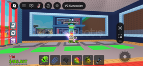 Raccooni Jandelini (LIMITED)