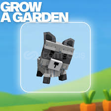 Racoon Grow A Garden Racoon Grow A Garden