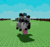 Raccoon Pet Grow A Garden