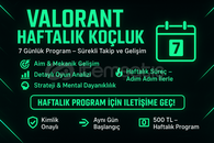 RADYANT 825RR KOÇLUK (KISA SÜREÇTE GELİŞ)