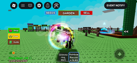 rainbow raccon age 66 hızlı