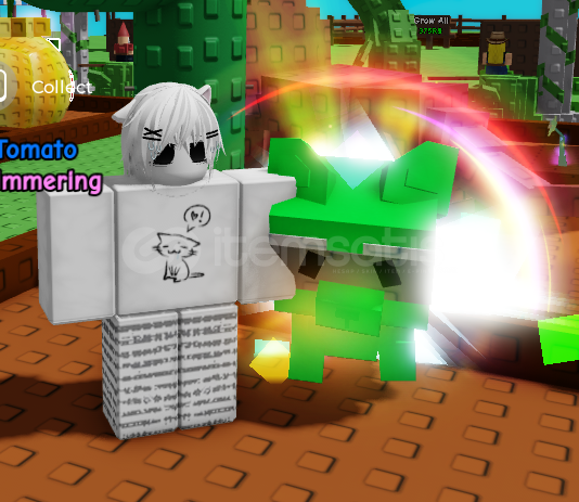 Rainbow Racoon!!! (GAG) Rainbow Racoon!!! (GAG)