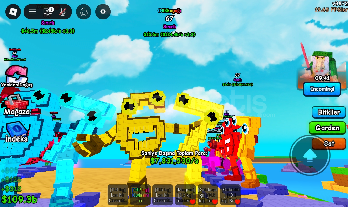 Rainow 67 ucuz