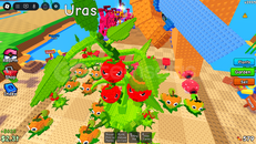 Random 5 Adet Tomatrio