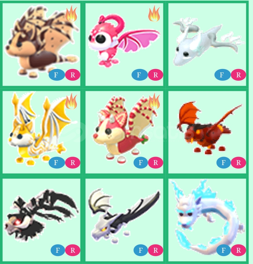 FR DRAGON 2X ( 1 )  FR DRAGON 2X ( 1 )