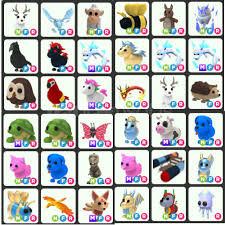 Legendary Pet! (Açıklamayı okuyunuz)  Legendary Pet! (Açıklamayı okuyunuz)