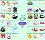 Random Pet Wear(10x)