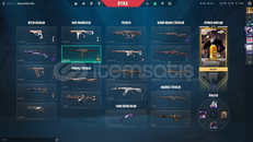 ⭐RANKED READY +İYON VANDAL +BICAK⭐