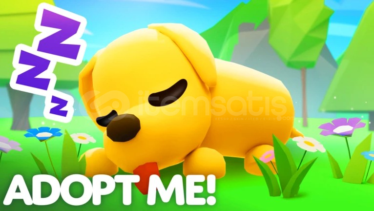 ⭐{RASTGELE GARANTİLİ FLY VEYA RİDE PET}⭐ADOPT ME ⭐{RASTGELE GARANTİLİ FLY VEYA RİDE PET}⭐ADOPT ME