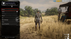 RDR 2 100 LVL 5000 GOLD 461K $ ONLİNE +İLK MAİL